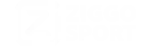 brand_item17-150x46-1-2.webp